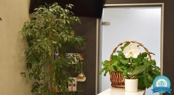 Стоматологическая клиника Гета на Мичуринском проспекте