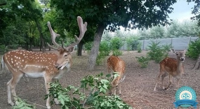 Клиника Доктор Профи